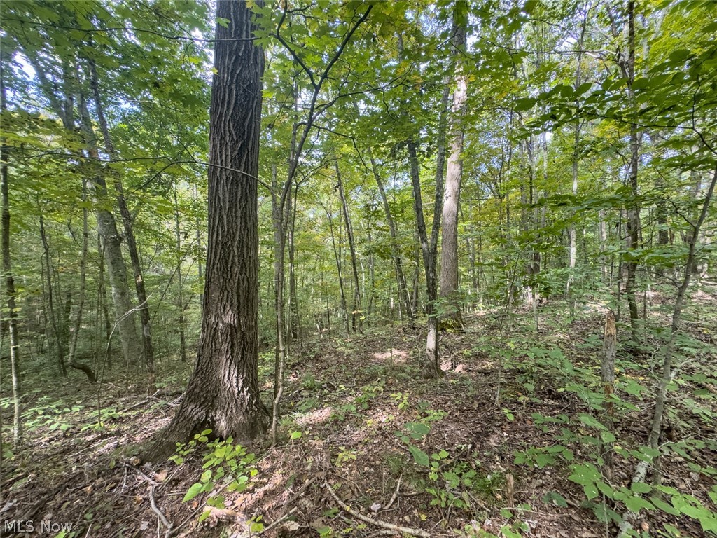 15645 Township Road 287 SE Glouster OH 45732