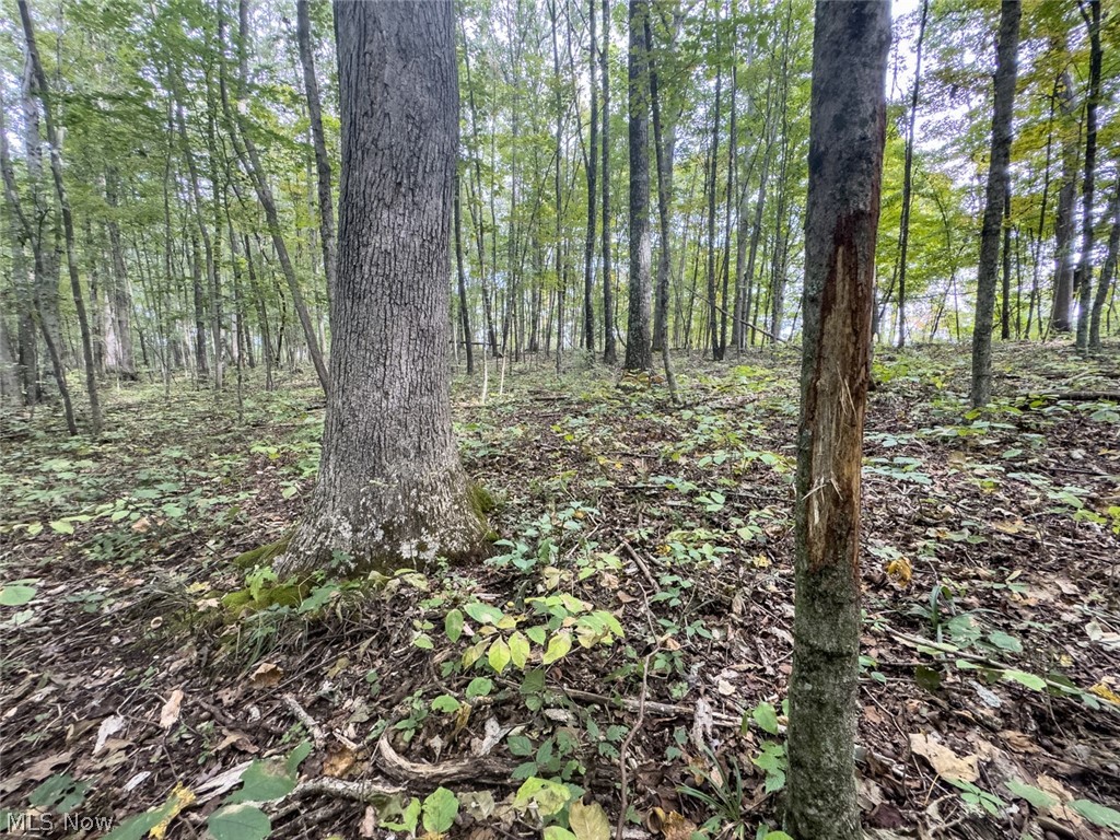 15645 Township Road 287 SE Glouster OH 45732