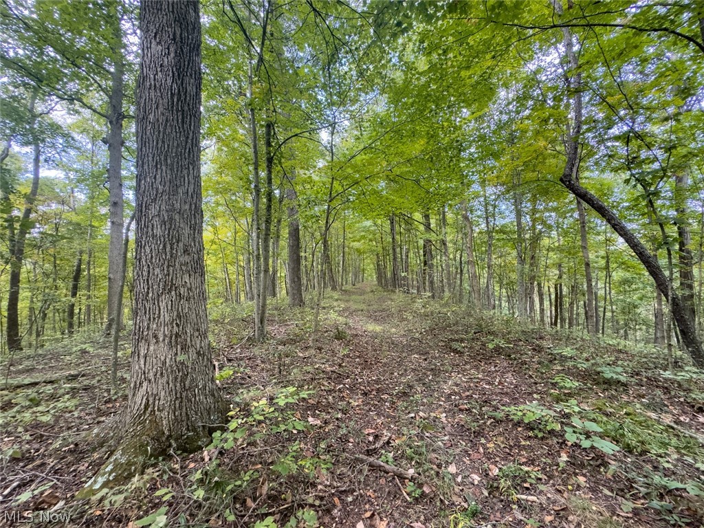 15645 Township Road 287 SE Glouster OH 45732