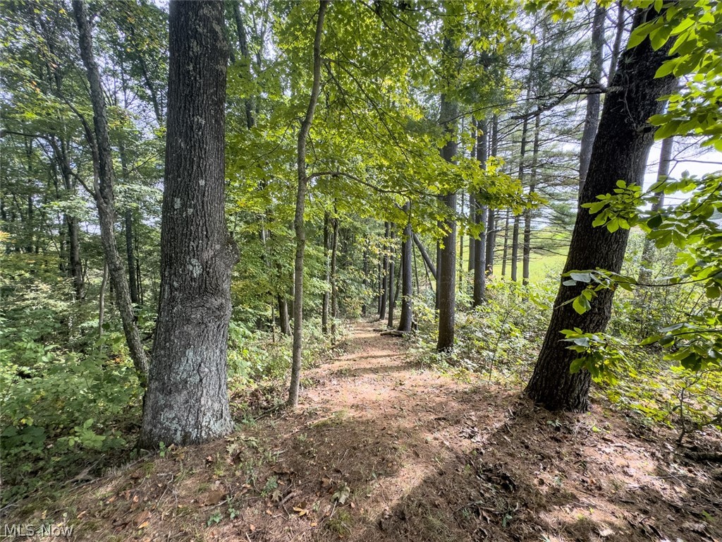 15645 Township Road 287 SE Glouster OH 45732