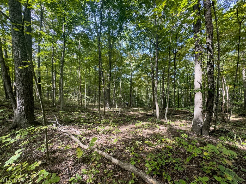 15645 Township Road 287 SE Glouster OH 45732