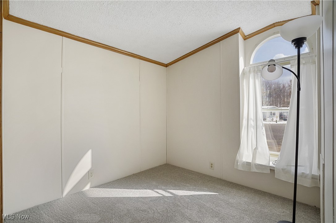 10161 William Henry Drive Streetsboro OH 44241