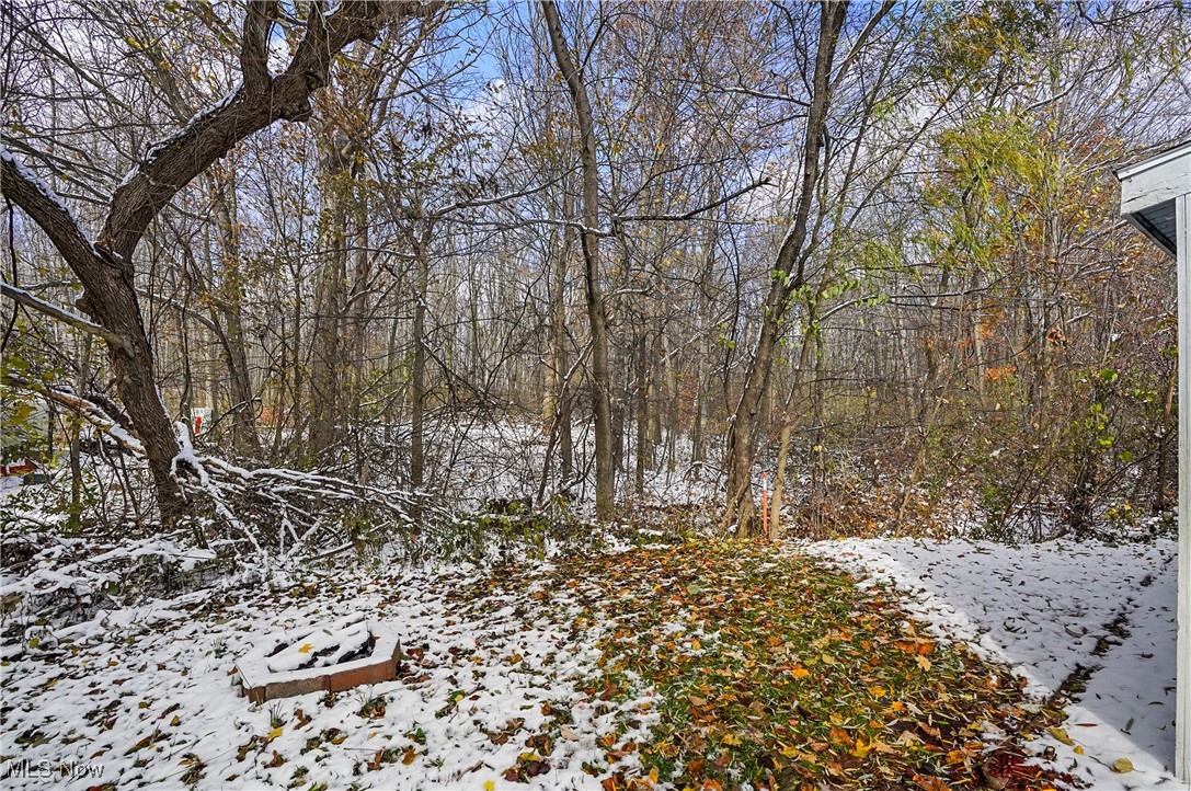 10161 William Henry Drive Streetsboro OH 44241