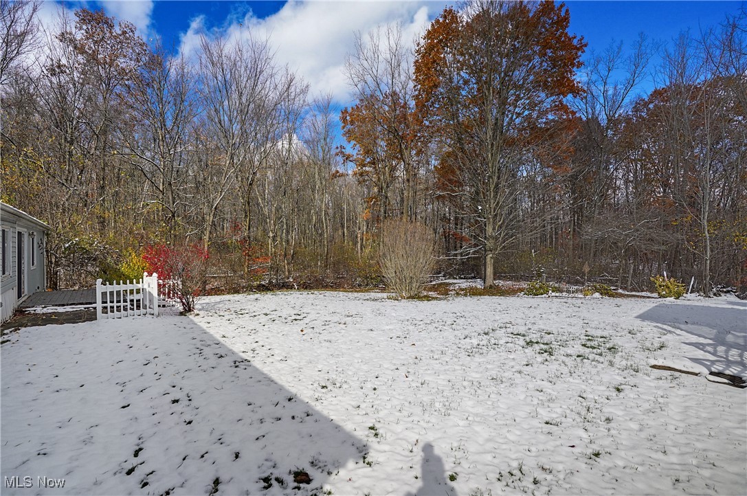 10161 William Henry Drive Streetsboro OH 44241