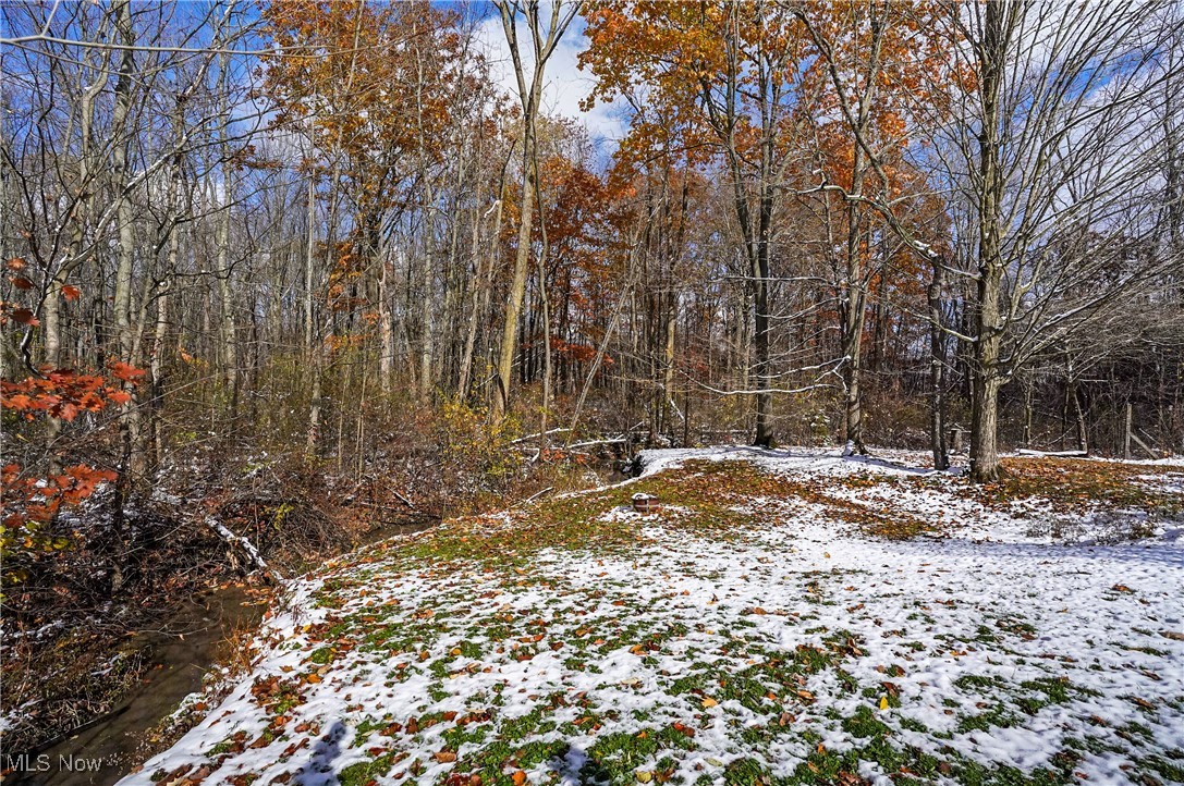 10161 William Henry Drive Streetsboro OH 44241