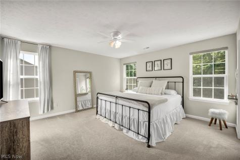 3622 Shady Timber Drive Twinsburg OH 44087
