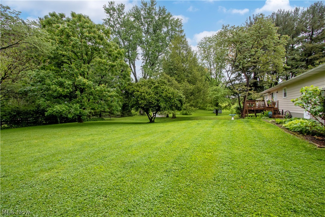 107 Youngs Terrace Loudonville OH 44842