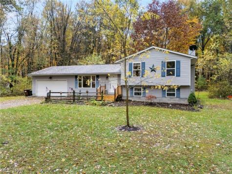 9812 Carters Ford Road Deerfield OH 44411