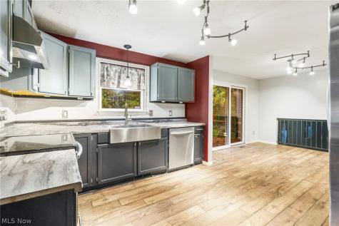 9812 Carters Ford Road Deerfield OH 44411