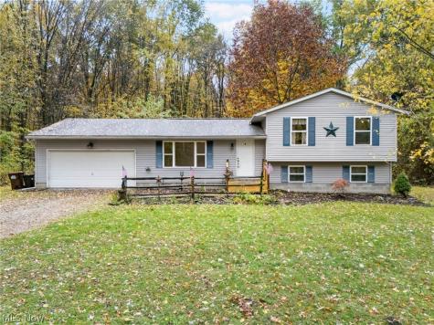 9812 Carters Ford Road Deerfield OH 44411