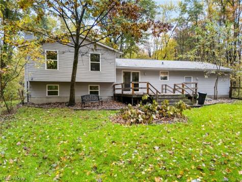 9812 Carters Ford Road Deerfield OH 44411