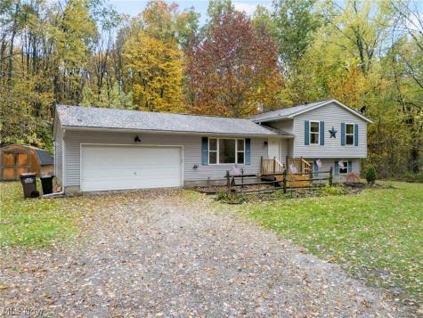 9812 Carters Ford Road Deerfield OH 44411