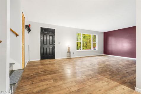 9812 Carters Ford Road Deerfield OH 44411
