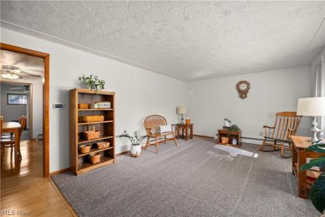 3610 Palm Springs Drive Lorain OH 44053