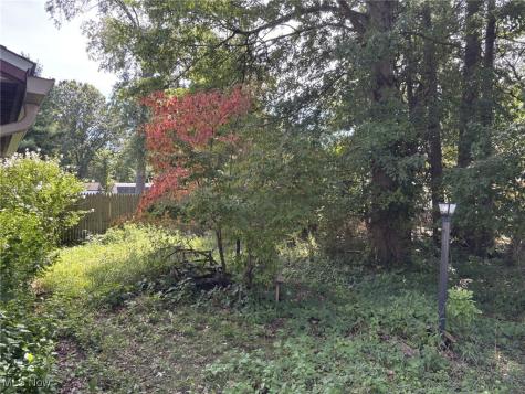 6006 Rosebelle Avenue North Ridgeville OH 44039