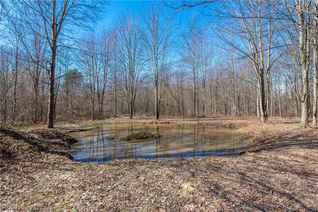 15120 State Route 83 Road Grafton OH 44044