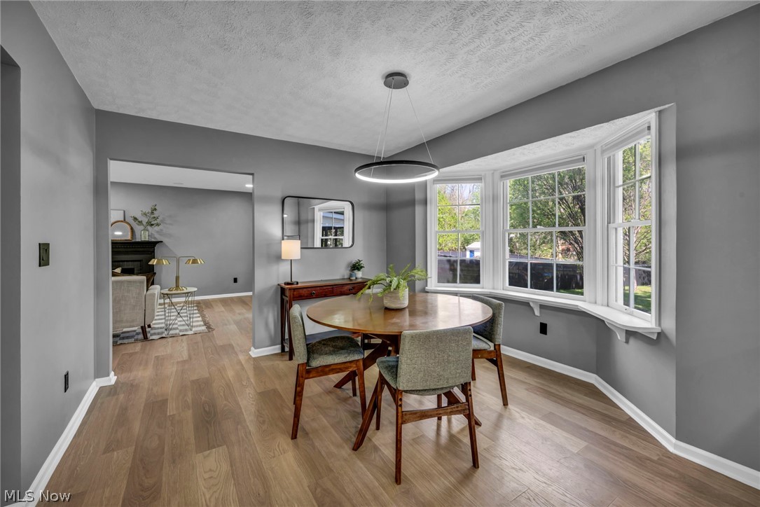 81 Richard Drive Medina OH 44256