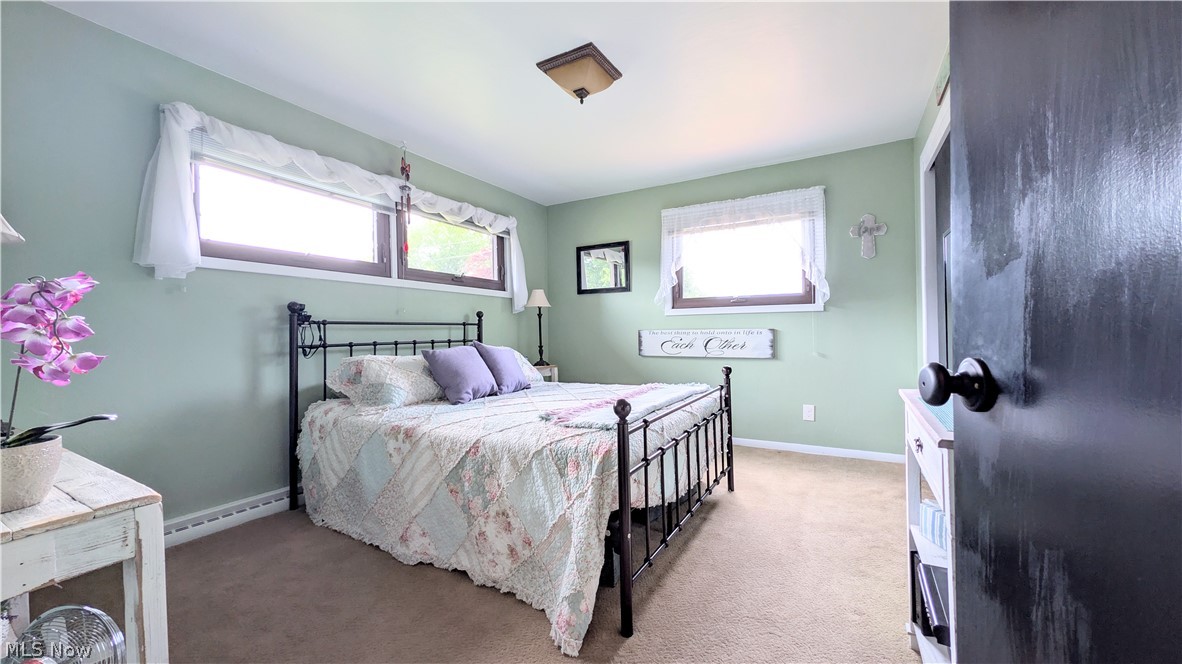 1099 Lake Rd Road Conneaut OH 44030