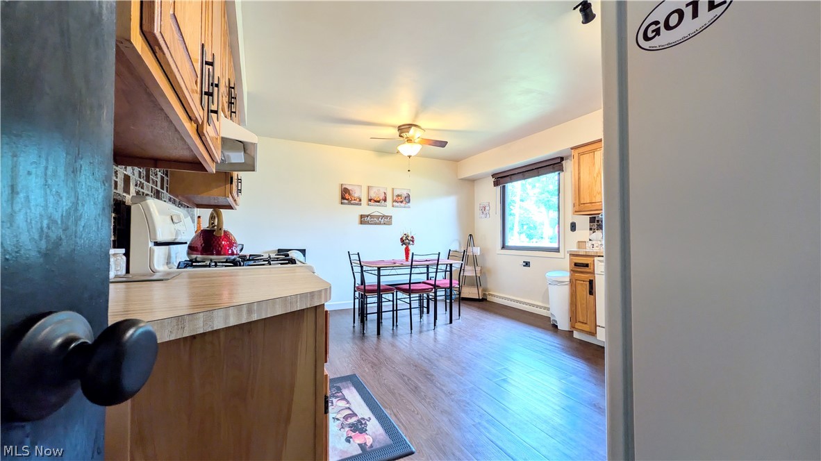 1099 Lake Rd Road Conneaut OH 44030