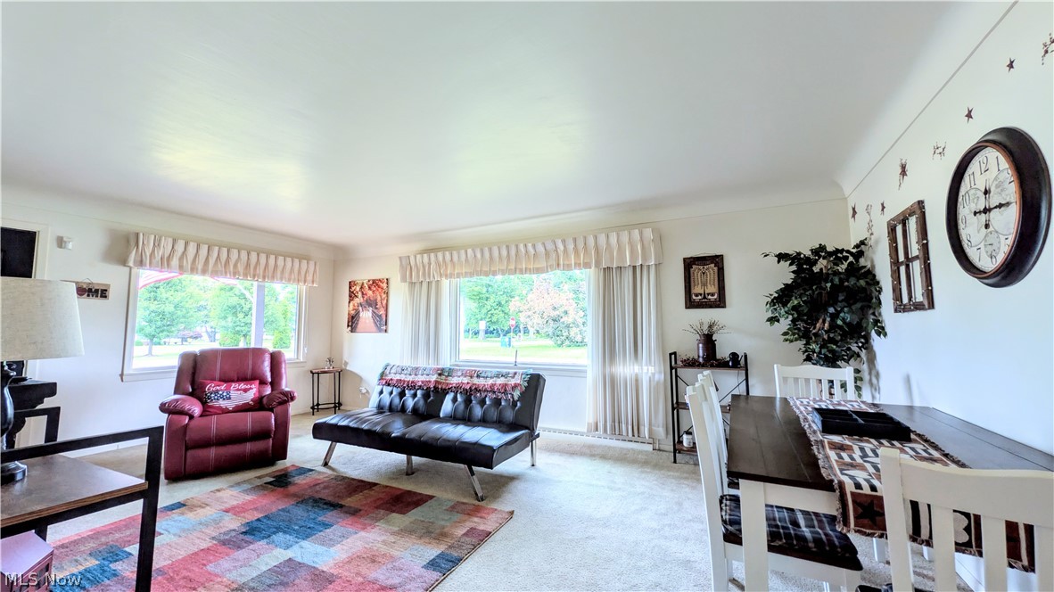 1099 Lake Rd Road Conneaut OH 44030