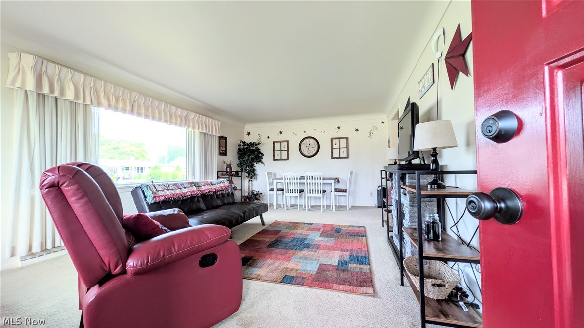 1099 Lake Rd Road Conneaut OH 44030