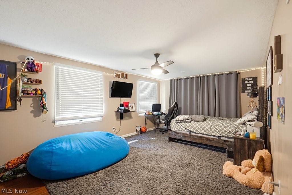 1047 Berkshire Drive Macedonia OH 44056