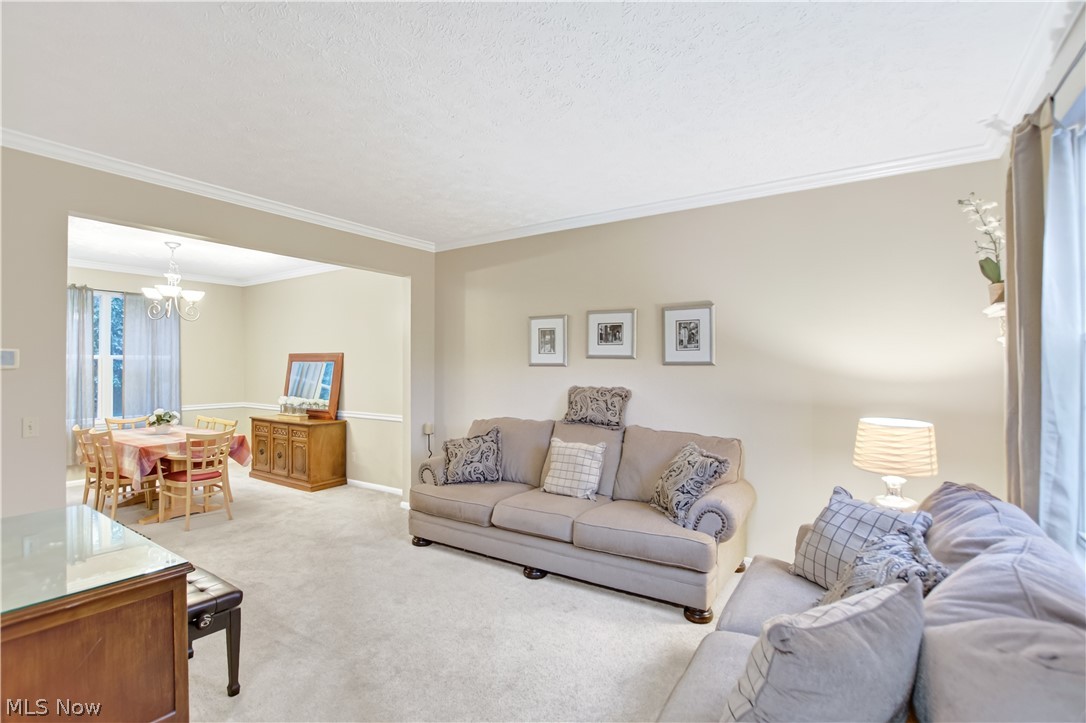 24528 Scott Boulevard Olmsted Falls OH 44138