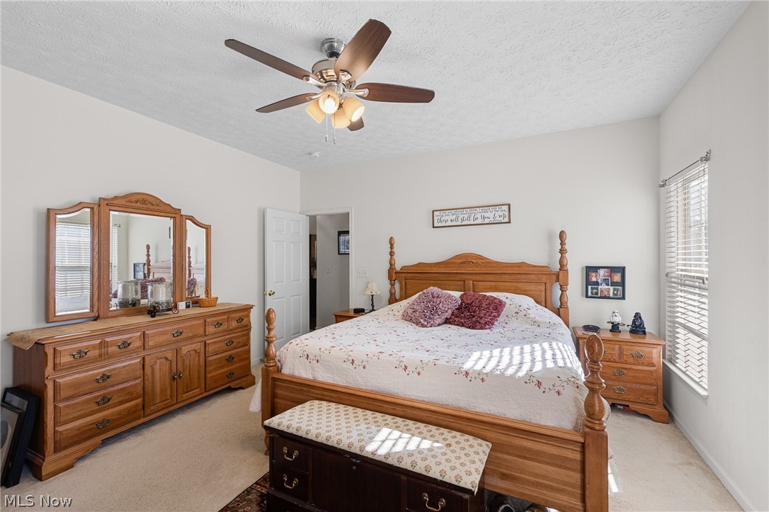 5341 Ivandale Drive Medina OH 44256