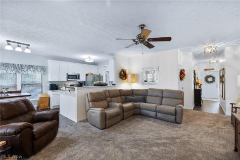 5341 Ivandale Drive Medina OH 44256
