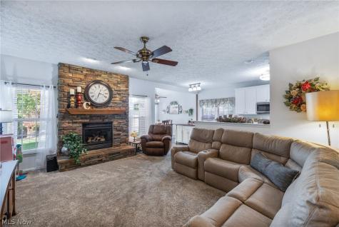 5341 Ivandale Drive Medina OH 44256
