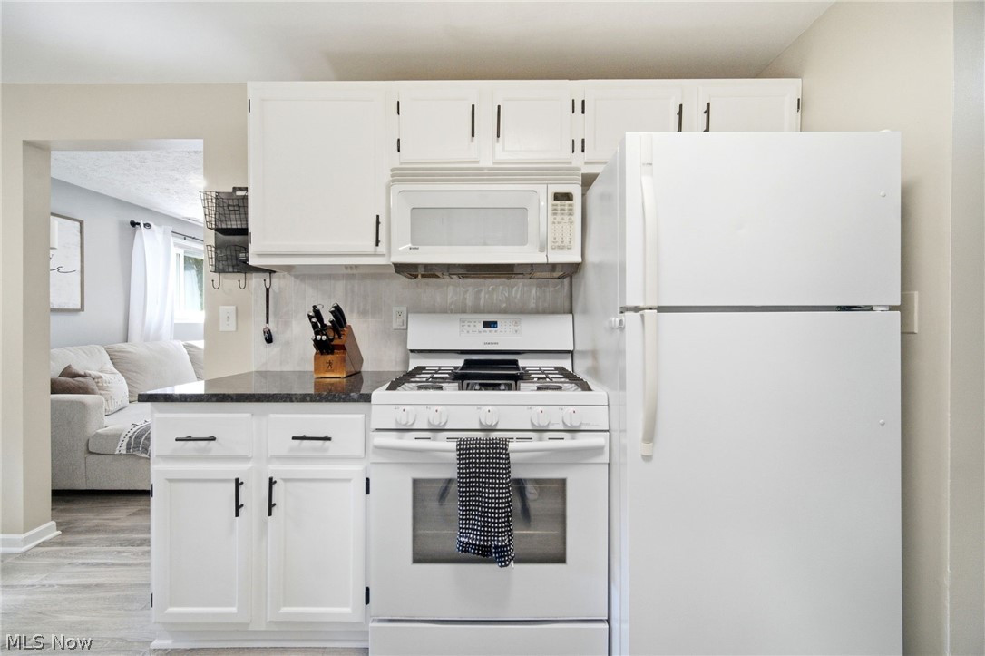 6665 Pinetree Drive Mentor OH 44060