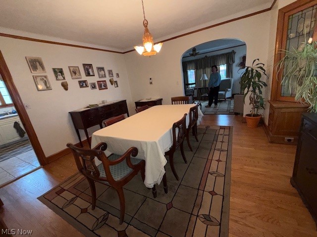 1010 Archwood Avenue Lorain OH 44052