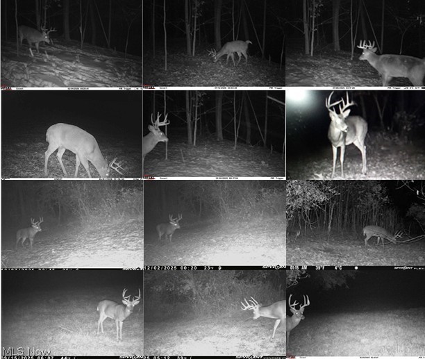 28957 Trail 240 Fresno OH 43824