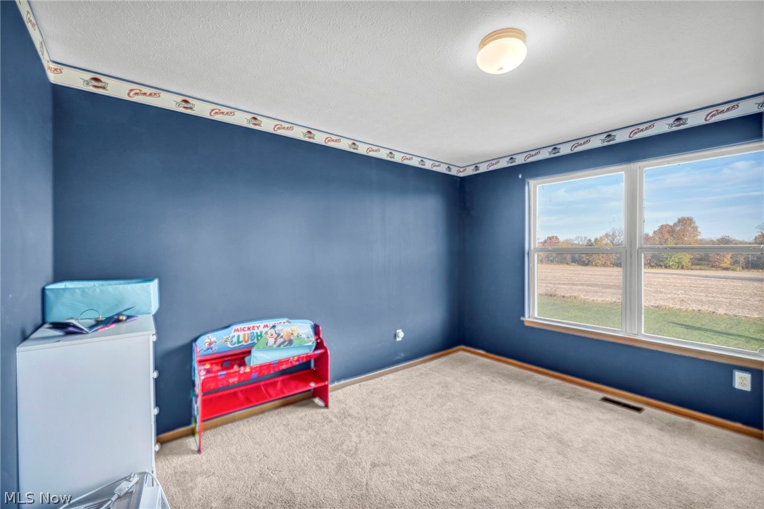 13277 Bursley Road Spencer OH 44275