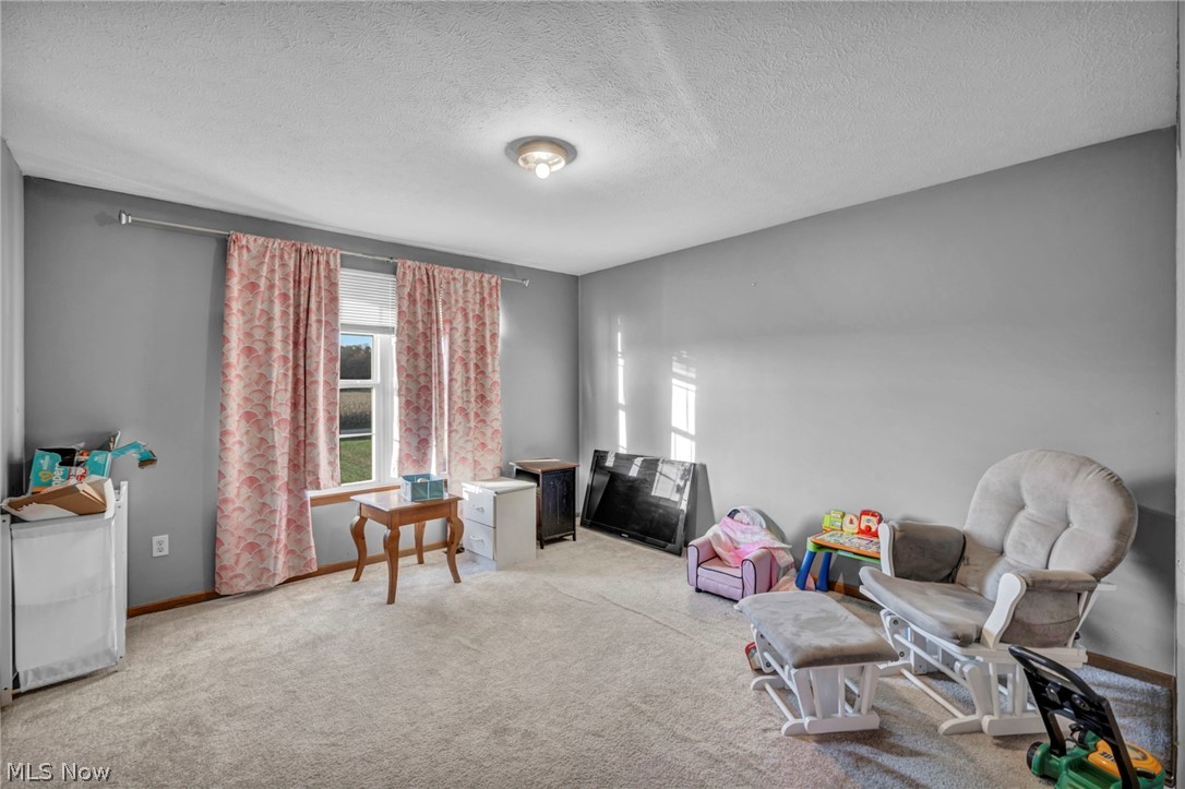 13277 Bursley Road Spencer OH 44275