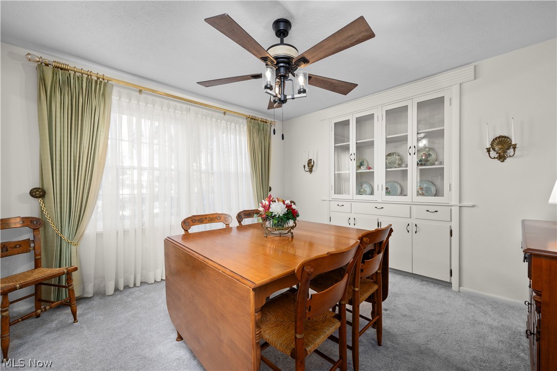 4521 Newbury Drive Vermilion OH 44089