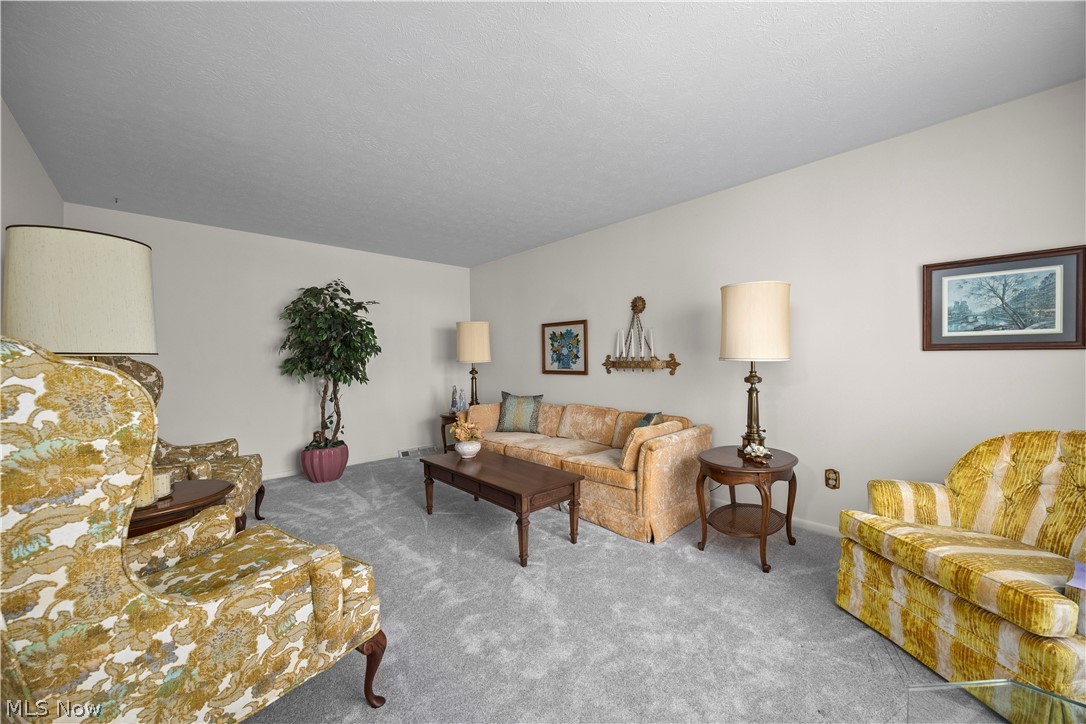 4521 Newbury Drive Vermilion OH 44089