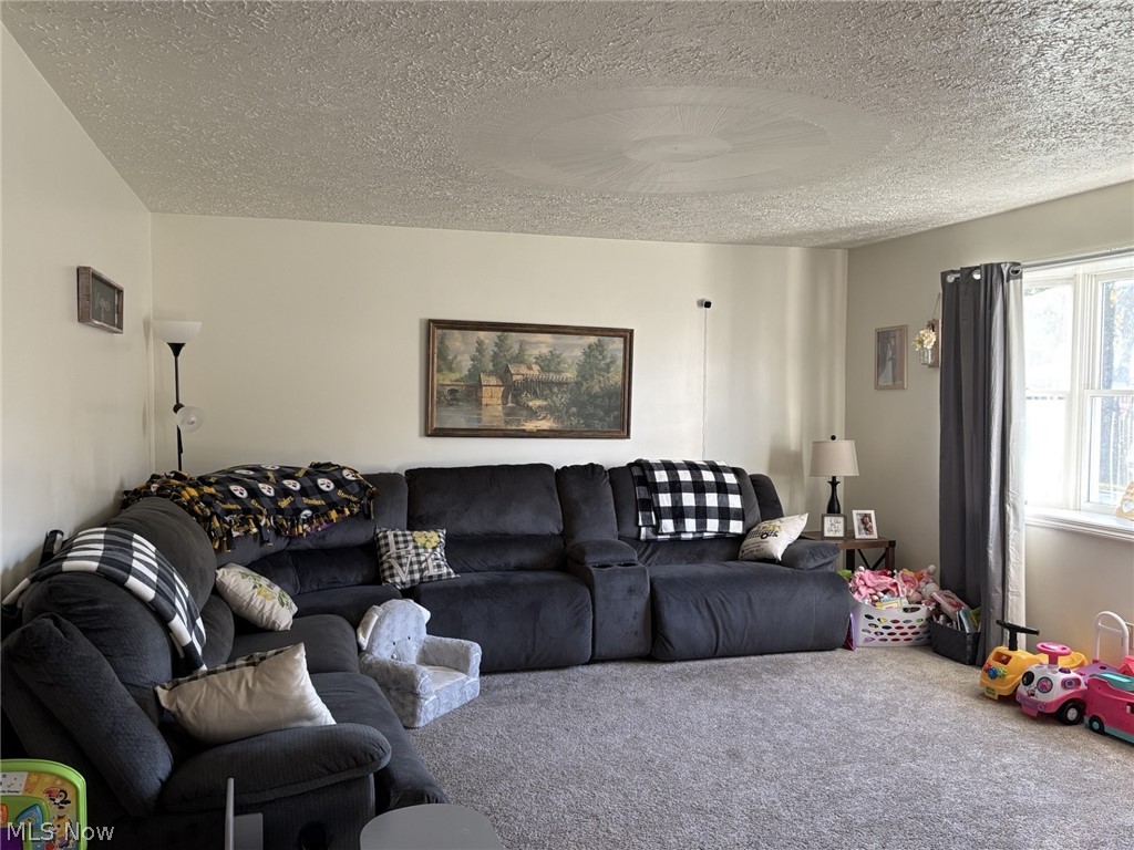 202 Sarah Boulevard Toronto OH 43964