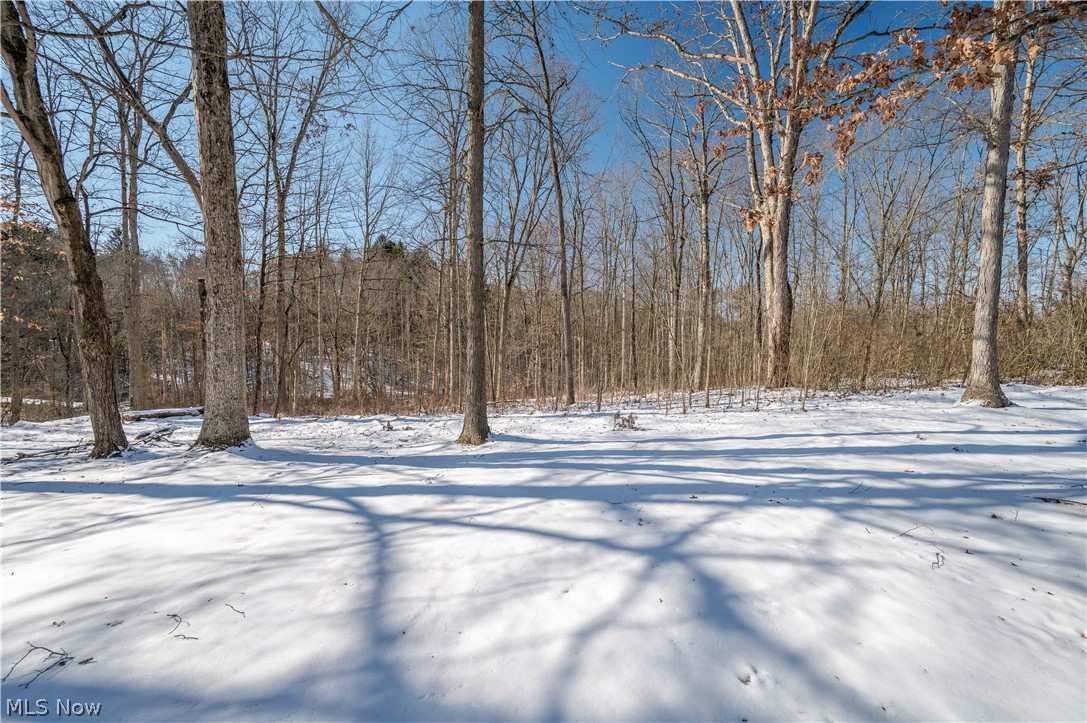 2998 Whispering Pines Drive Canfield OH 44406