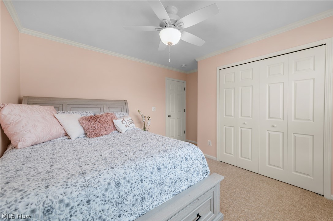 681 Bridgeside Drive Avon Lake OH 44012