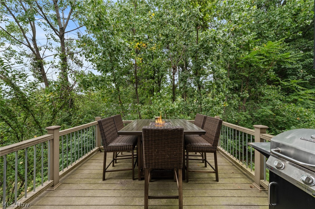 1355 Slate Court Cleveland Heights OH 44118