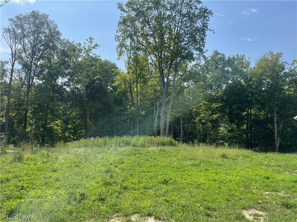 S/l 371 Canyon Ridge Chagrin Falls OH 44023