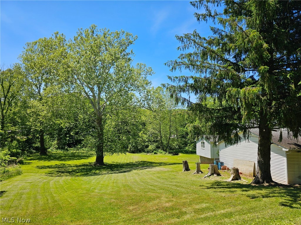 201 Ridgewood Drive Amsterdam OH 43903