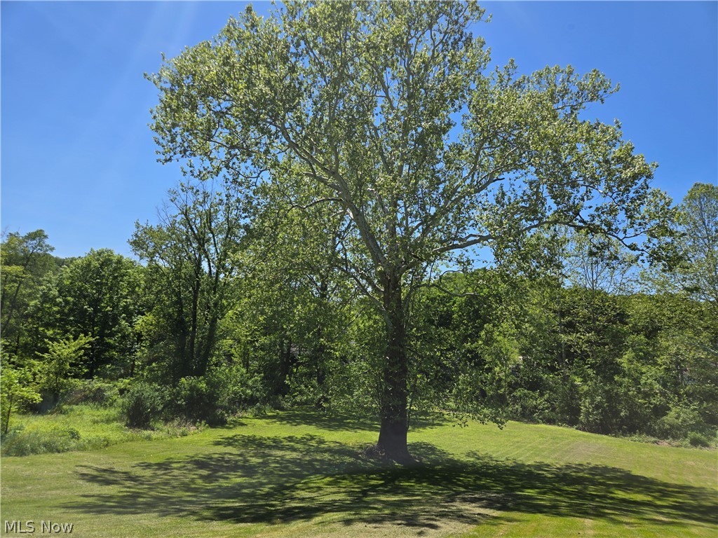 201 Ridgewood Drive Amsterdam OH 43903