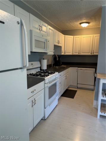 50 Casement Avenue Painesville OH 44077