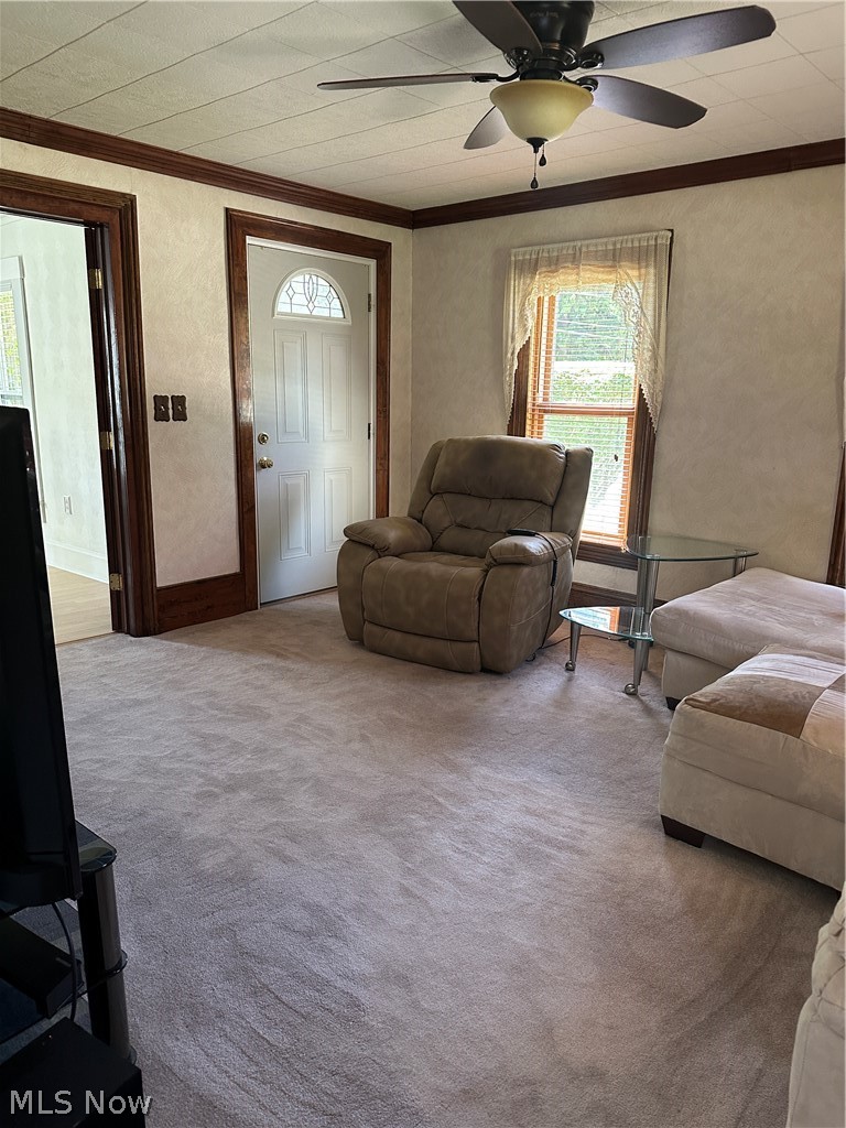 50 Casement Avenue Painesville OH 44077