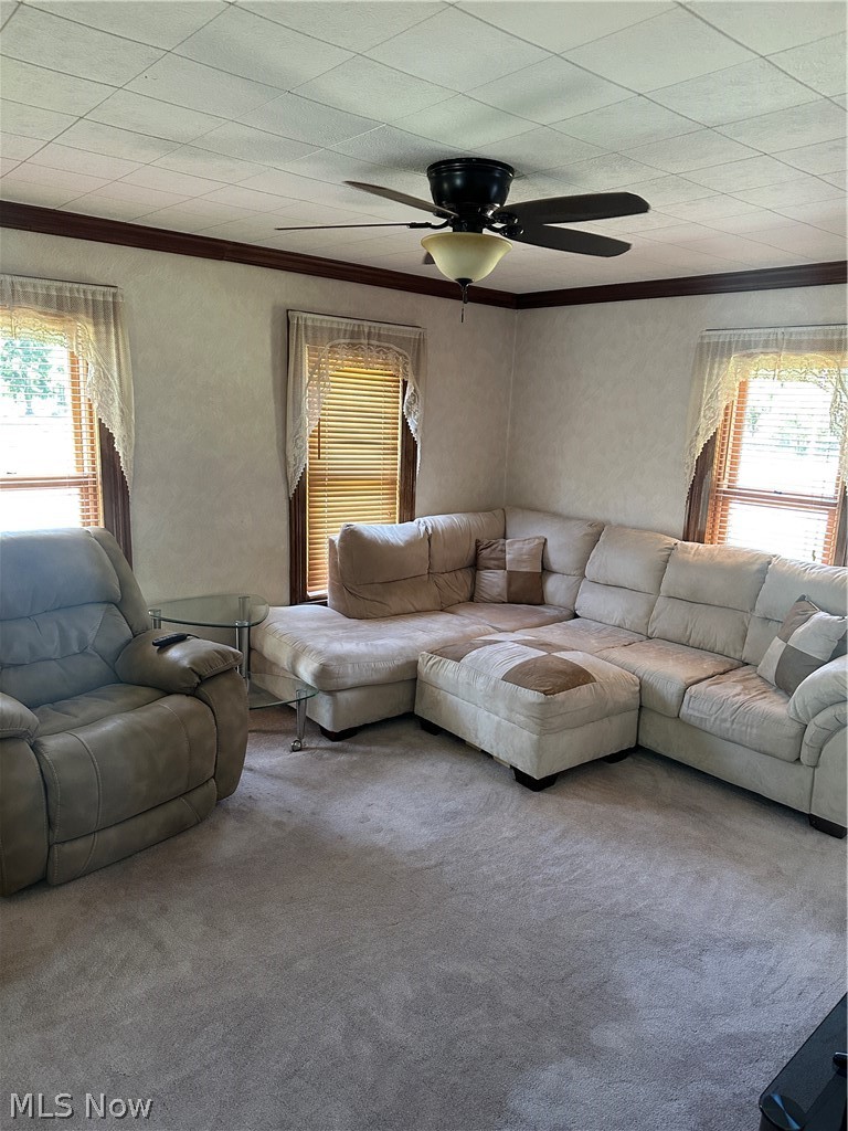 50 Casement Avenue Painesville OH 44077