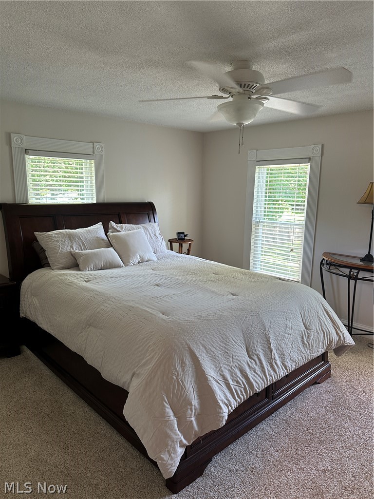 50 Casement Avenue Painesville OH 44077