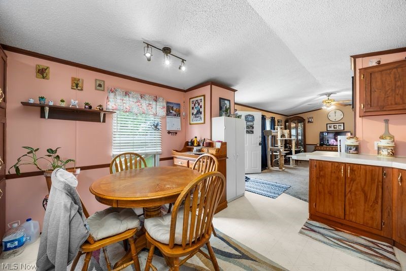 107 Township Road 810 West Salem OH 44287