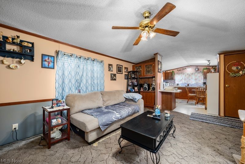 107 Township Road 810 West Salem OH 44287